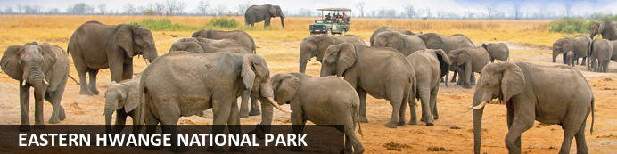 Day 5 — Hwange elephant country