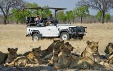 Day 6 — A full day on safari