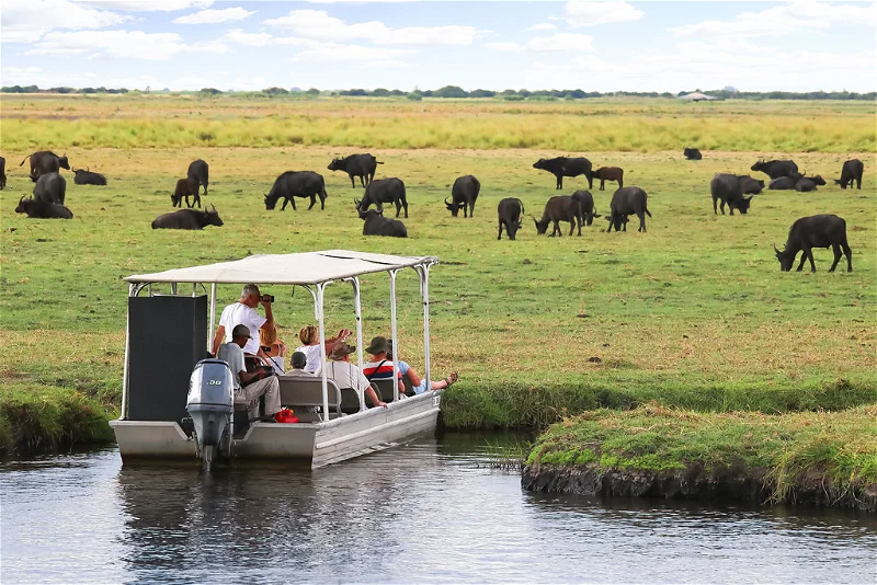 Day 9 — Chobe day safari